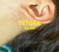 TETORA